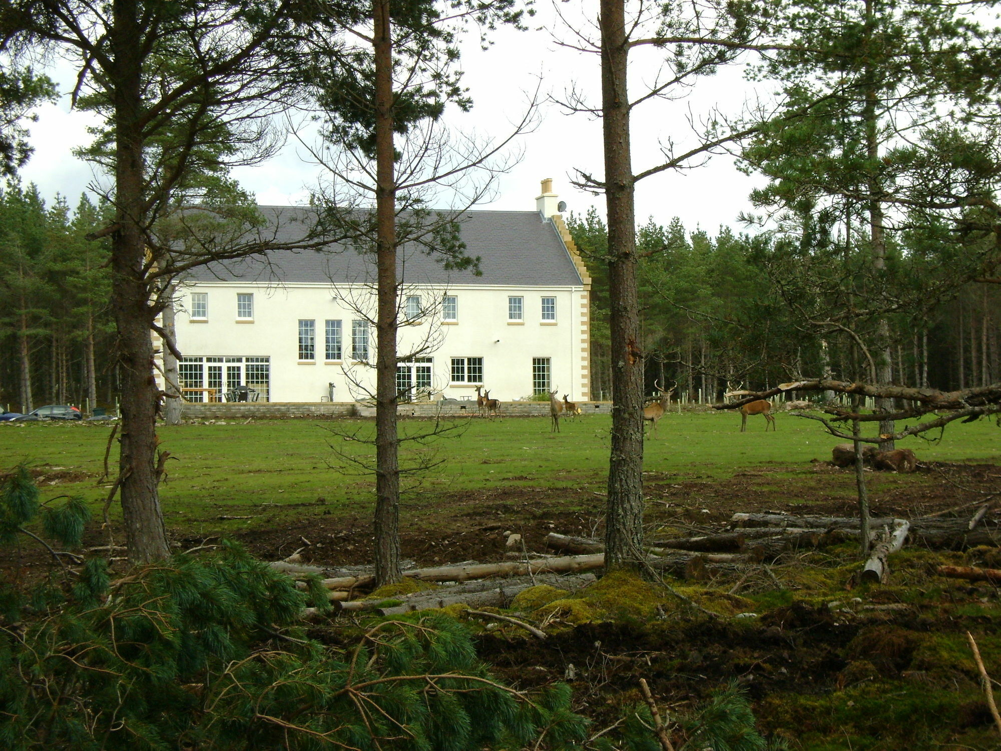 Dinichean House Bed & Breakfast Daviot  Екстериор снимка